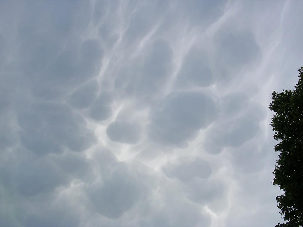 Mammatus clouds